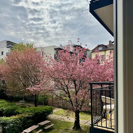 In The Heart Of Apartment *